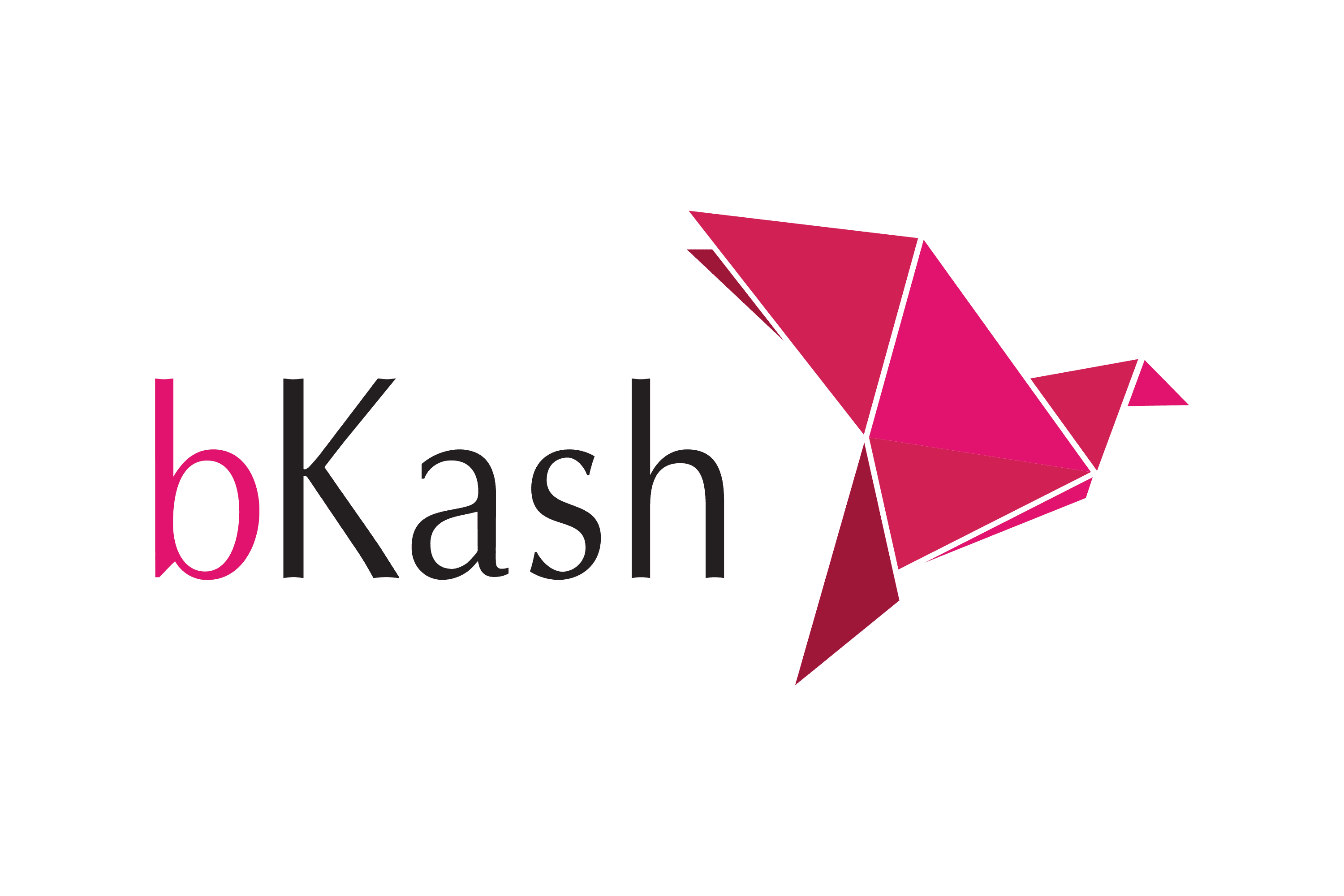 bkash logo